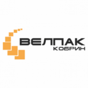 Audit of business processes at Wellpack-Kobrin (Belarus)